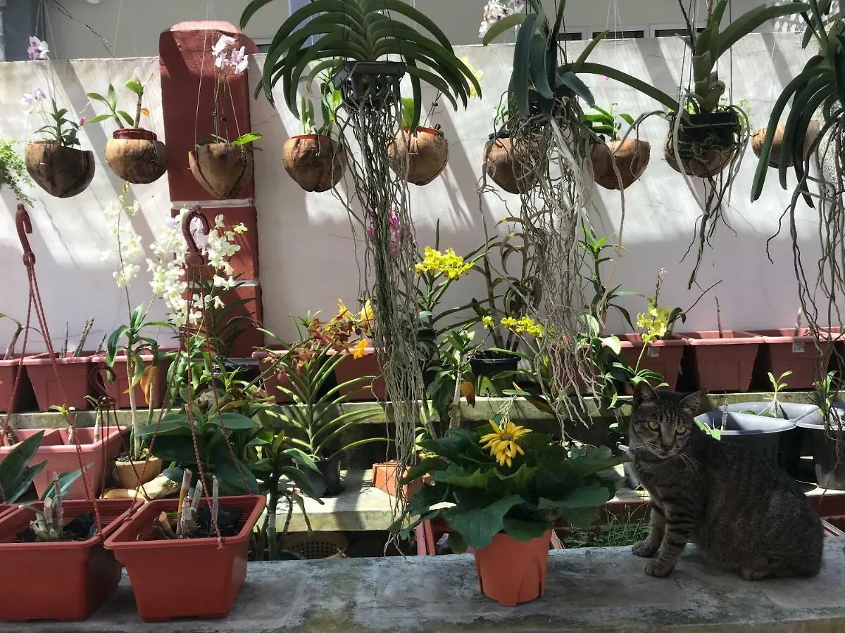 Assofea Villa Homestay Johor Bahru Malezya